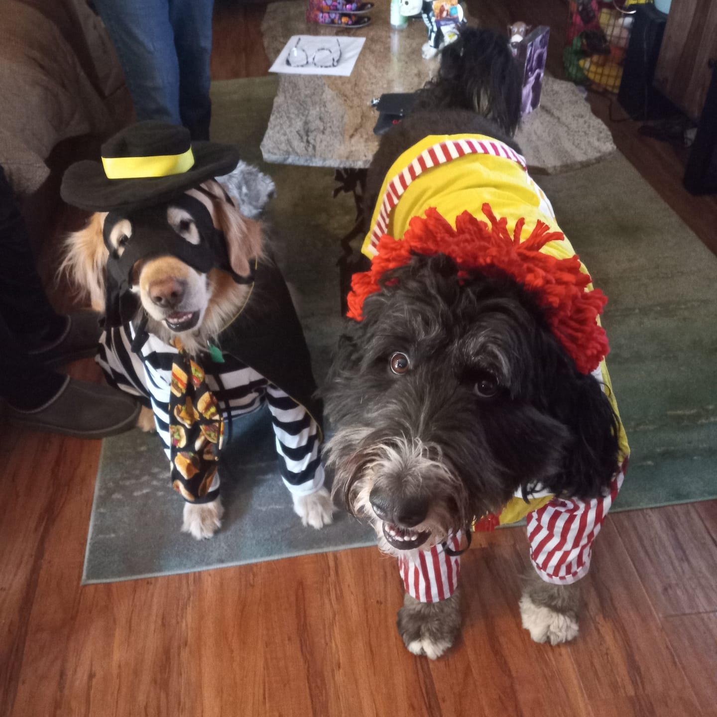 Customer photo review of DOOG Biodegradable Pick-Up Bags (3 packs of 20)