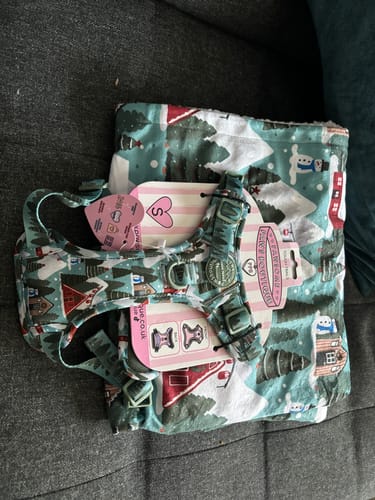 Customer photo review of Dog Blanket - Mistletoe Mountains