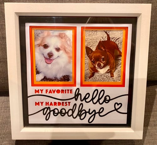 Customer photo review of Crafting Memories SVG Mega Bundle