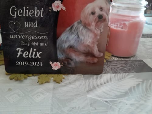 Customer photo review of Hunde Gedenktafel mit Foto & Spruch (UV- & Wetterfest)
