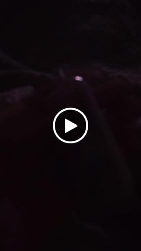 Zanner G. review of Funky Republic Fi3000 Flavor image 1 out of 1