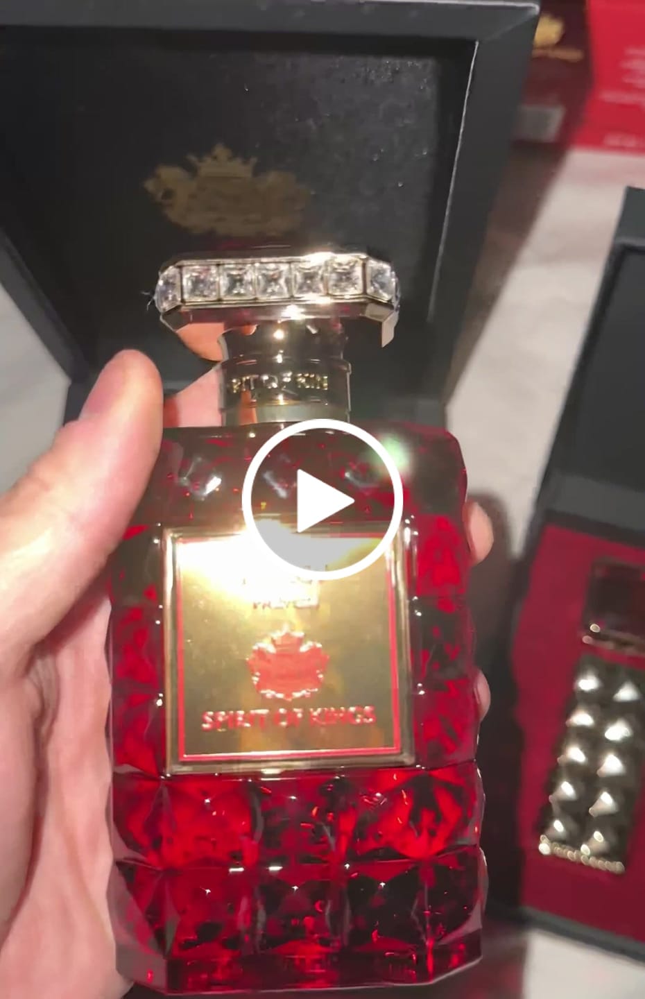 Customer video review of THE SPIRIT OF KINGS -  MERCY