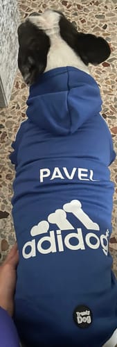 Customer photo review of Felpa "Adidog" Blu Personalizzabile con nome