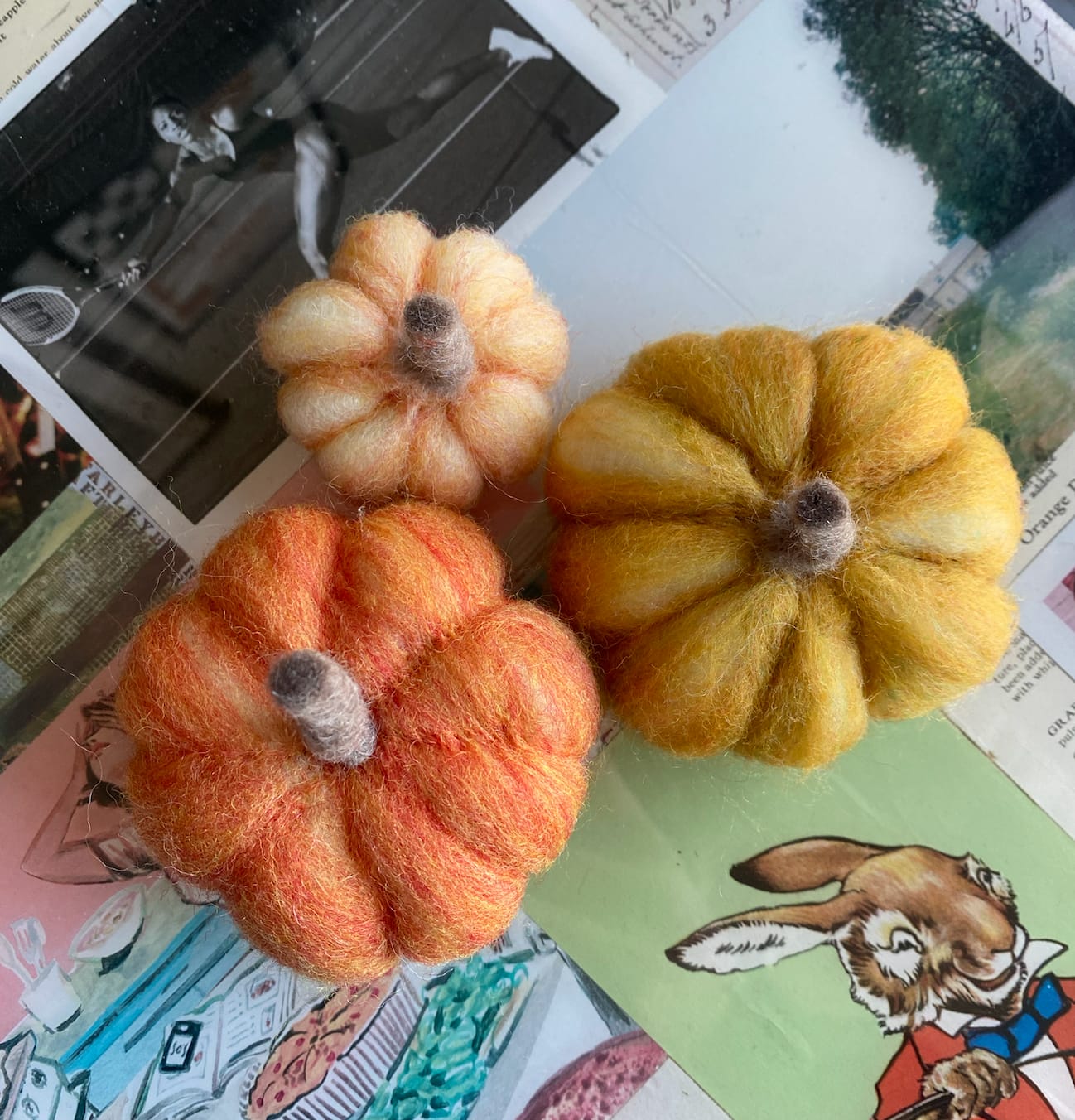 Customer photo review of Pumpkin Trio Mini Needle Felting Kit