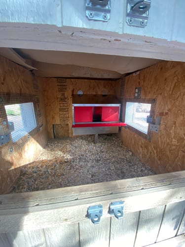 Customer photo review of Small (24") Reversible Rollout Nest Box (Up to 20 Hens)