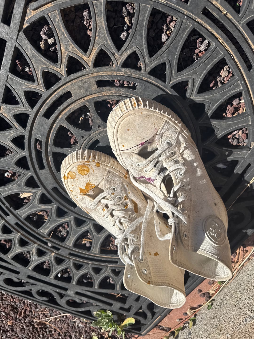 Customer photo review of Sea Salt Center Hi Top | Unisex Canvas Sneaker