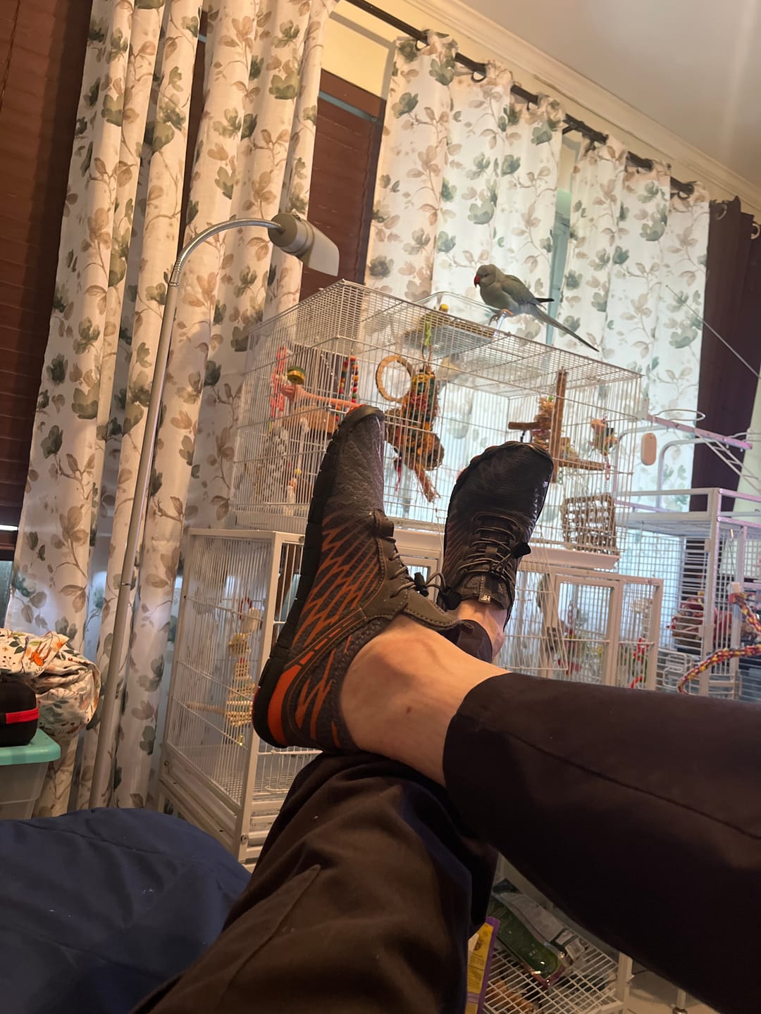 Customer photo review of Lorax Pro – All-Day Comfort & Pain-Free Barefoot Shoes
