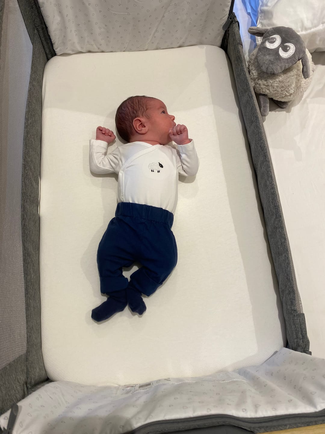 Customer photo review of ewan Deluxe | baby shushing sleep sheep | gray