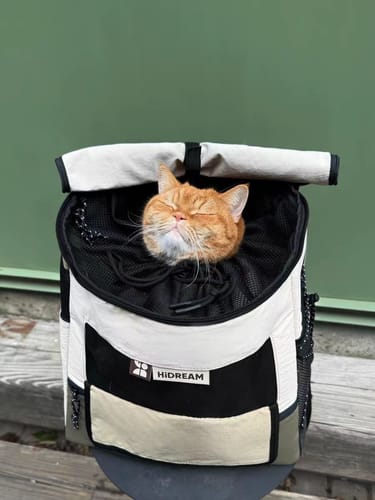 Customer photo review of Lightweight Double-Shoulder Cat Backpack with Front & Back Carry, Light-Blocking & Warming Design for Small to Medium Cats