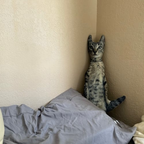 Customer photo review of Custom Pet Pillow