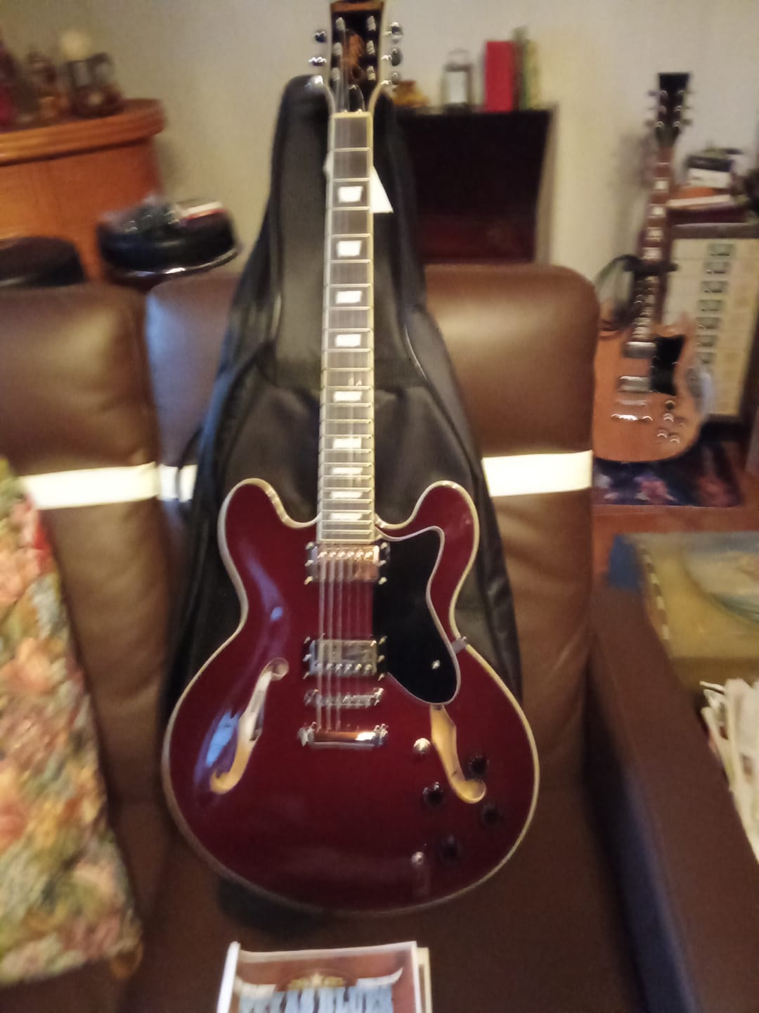 Customer photo review of Donner DJP-1000 Guitare Jazz Électrique