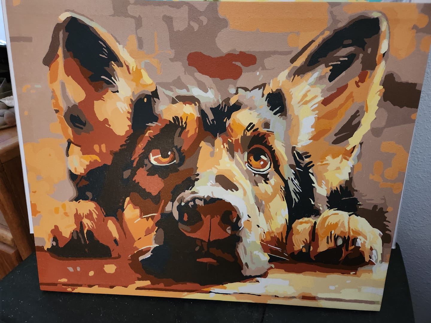 Customer photo review of Bored Shepherd