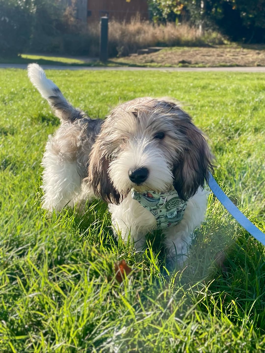 Customer photo review of Disney© Tough Trails™ Harness - 100 Aker Wood