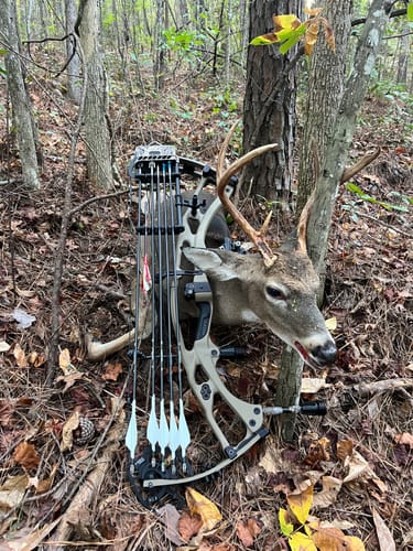 Customer photo review of Beast Broadheads (2-Pack + Practice Tip)