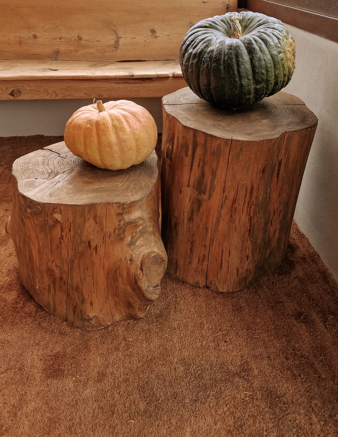 Customer photo review of PUMPKIN SPICE LIGHTROOM PRESETS