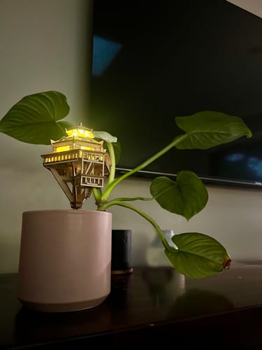 Customer photo review of Woodland Outpost