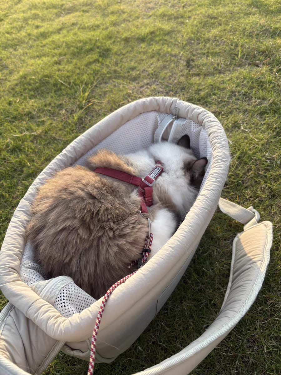 Customer photo review of SoftNest Lightweight Labor-Saving Sling Carrier Bag for Pets SoftNest