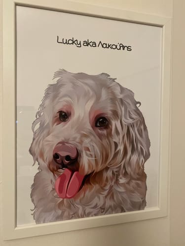 Customer photo review of Πορτραίτο Κατοικίδιου - Πόστερ με κάδρο
