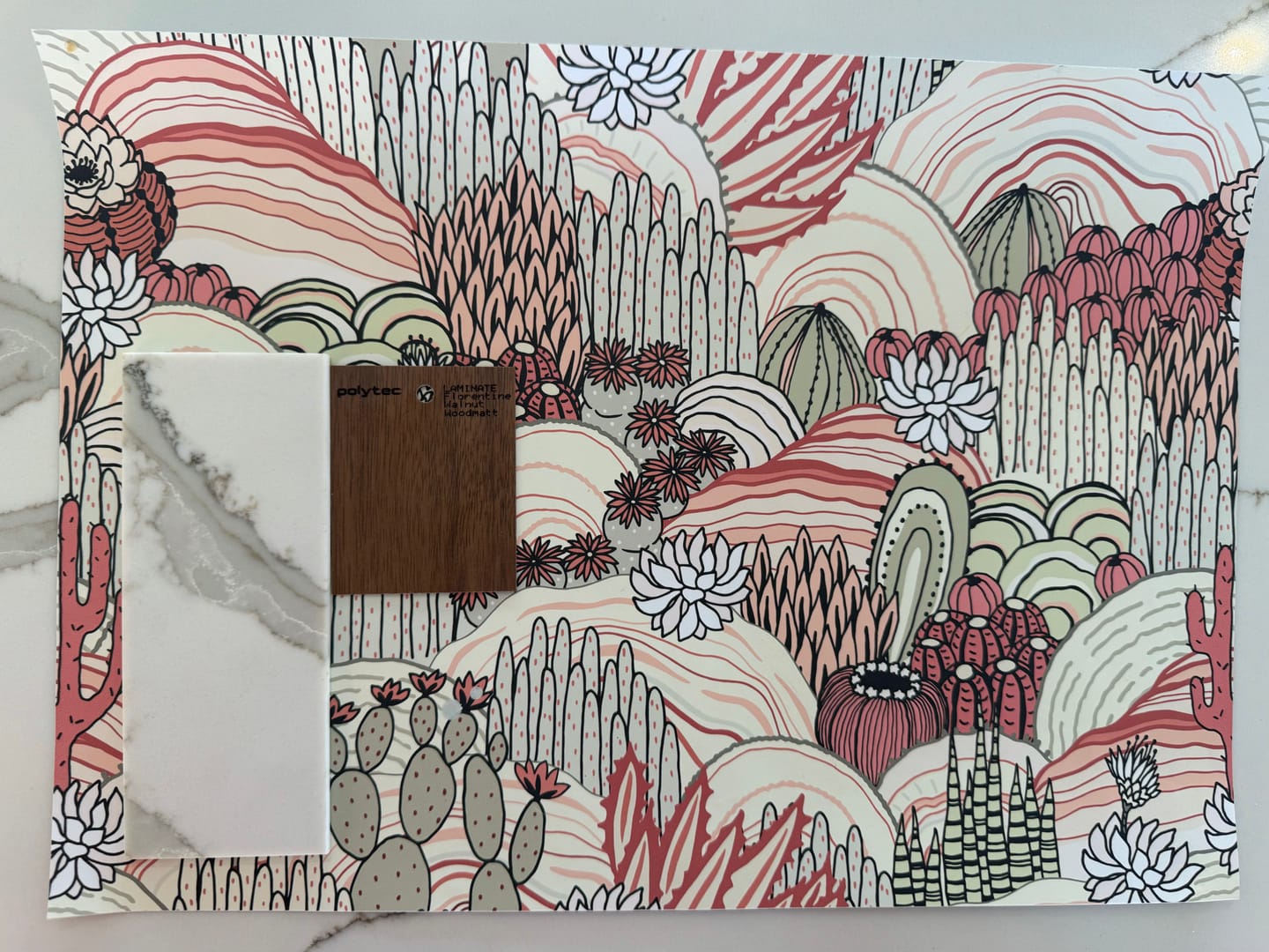 Customer photo review of Cactus Land  Wallpaper