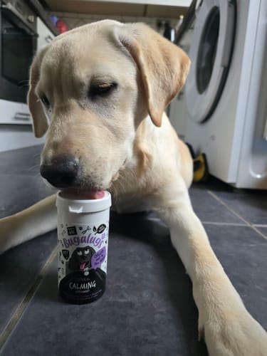 Customer photo review of Natural Calming Supplement Powder for Dogs (80g)