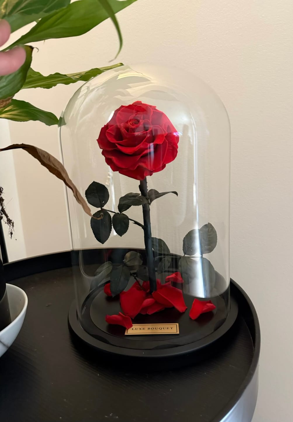 Customer photo review of The Everlasting Rose - Red