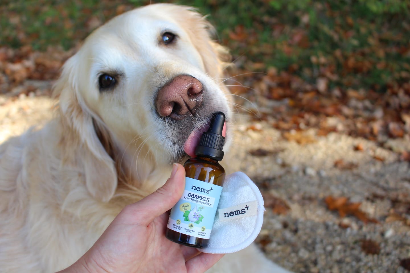Customer photo review of 2-in-1 Ohrfein Reinigung & Pflege für Hunde & Katzen mit kolloidalem Silber