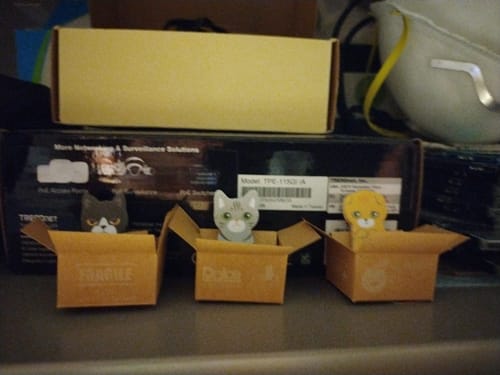 Customer photo review of Kitty In A Box Sticky Notes