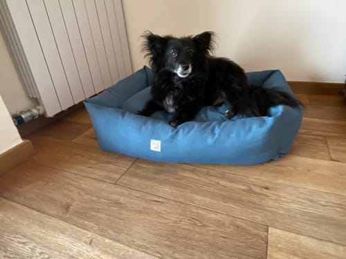 Customer photo review of Divanetto Mattias Bluette (Soft Touch)