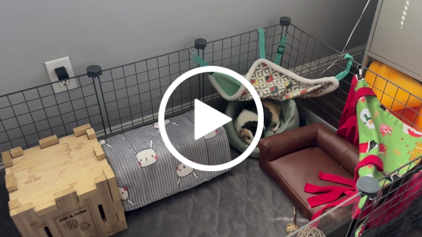 Customer video review of Memory Foam Sofa