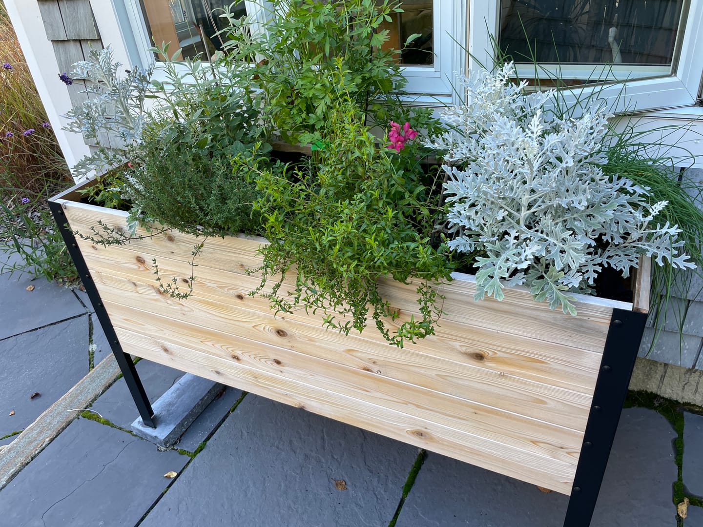 Customer photo review of Raised Garden Bed - 46cm x 122cm x 76cm