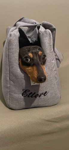 Customer photo review of Cerniera per Trasportino