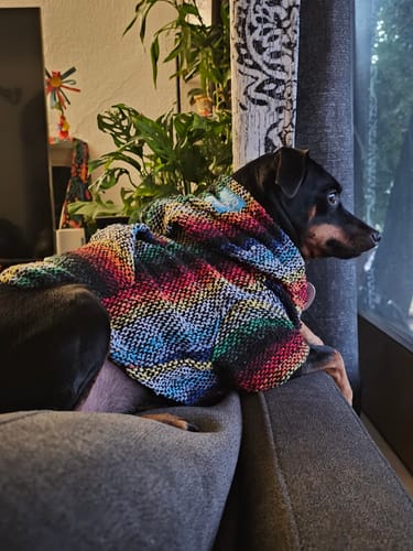 Customer photo review of Playa Poncho - Surprise Color