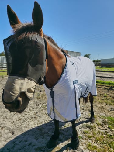 Customer photo review of LE Fieldsafe Summer Sheet