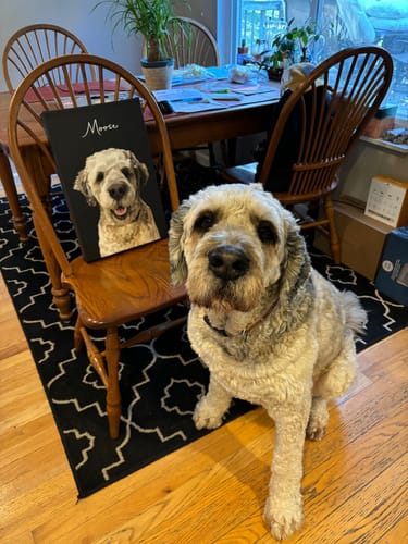 Customer photo review of Pet Art Canvas Wrap