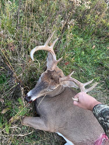 Customer photo review of Beast Broadheads (2-Pack + Practice Tip)