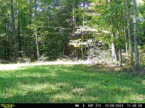 Customer photo review of Forage Oats