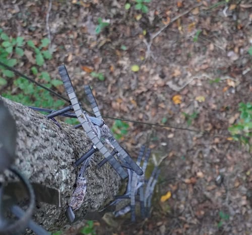 Customer photo review of D’Acquisto Series Double Step™ Stick