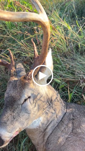 Customer video review of Beast Broadheads (2-Pack + Practice Tip)