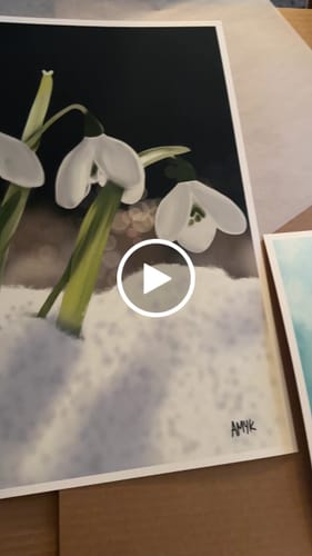 Customer video review of 8x11 Giclee Fine Art Prints