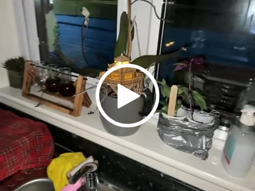 Customer video review of Woodland Outpost