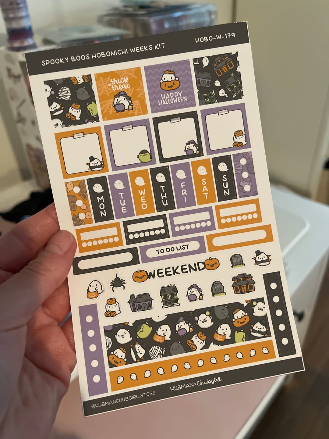 Customer photo review of Halloween Theme Hobonichi Weeks Kit