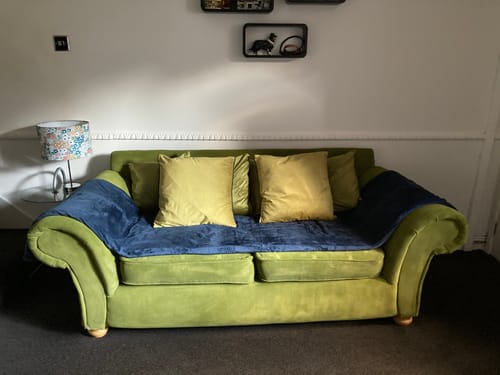 Customer photo review of Brush Combo