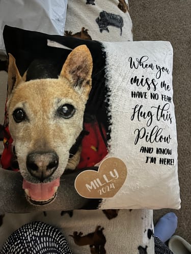 Customer photo review of When you miss me - Personalised Pillow