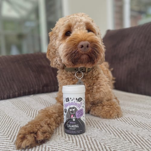 Customer photo review of Natural Calming Supplement Powder for Dogs (80g)