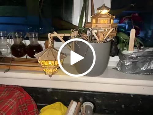 Customer video review of Treetop Hideaway