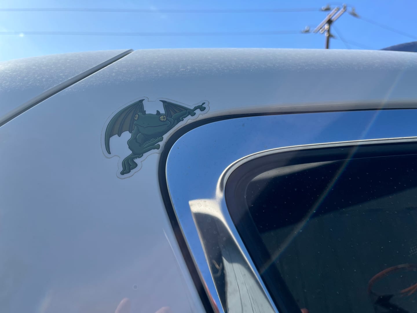Customer photo review of Limited Edition “Frogoyle” Matte Clear Vinyl Sticker