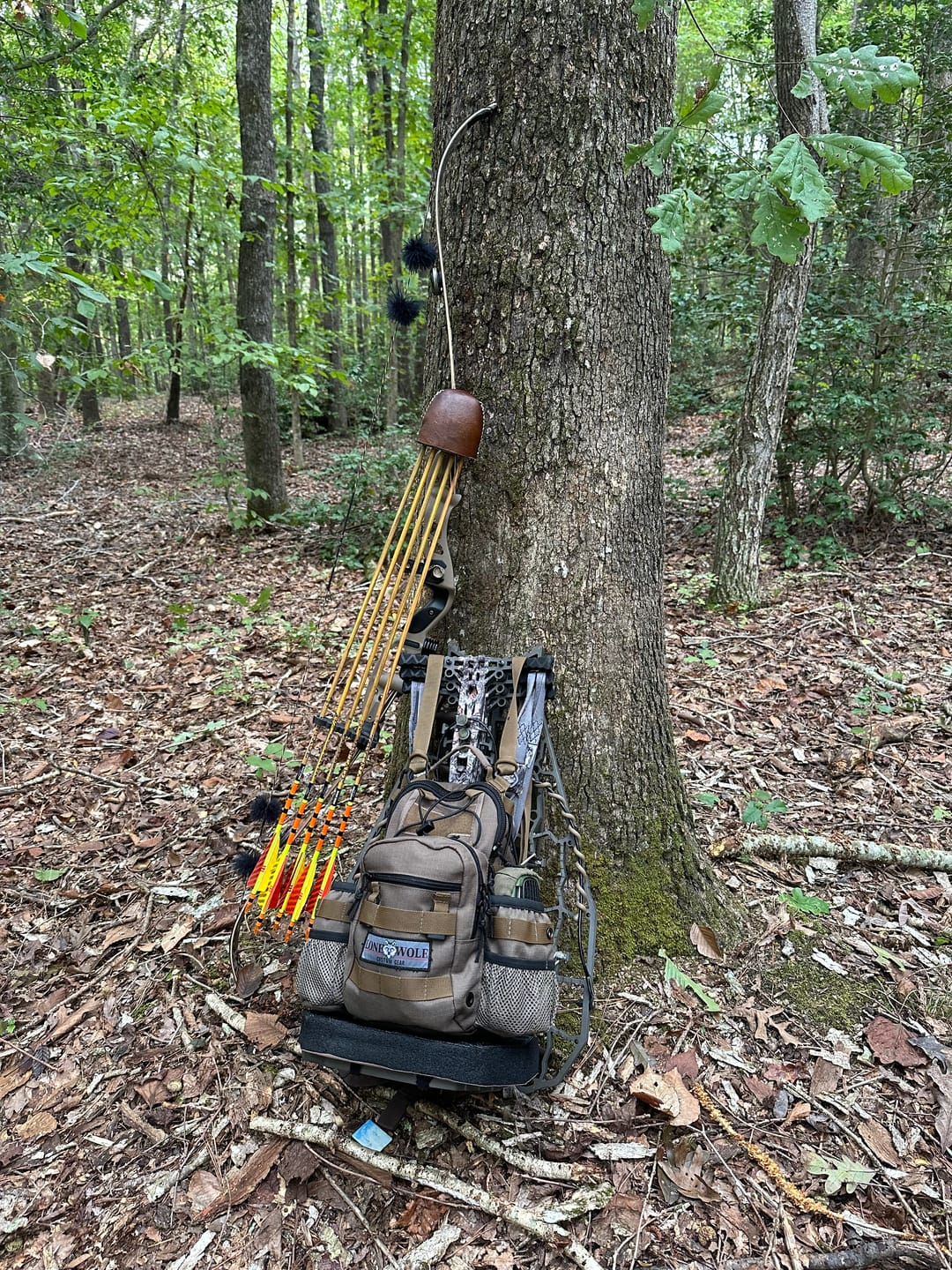 Customer photo review of Halfpack™ Hybrid Pack