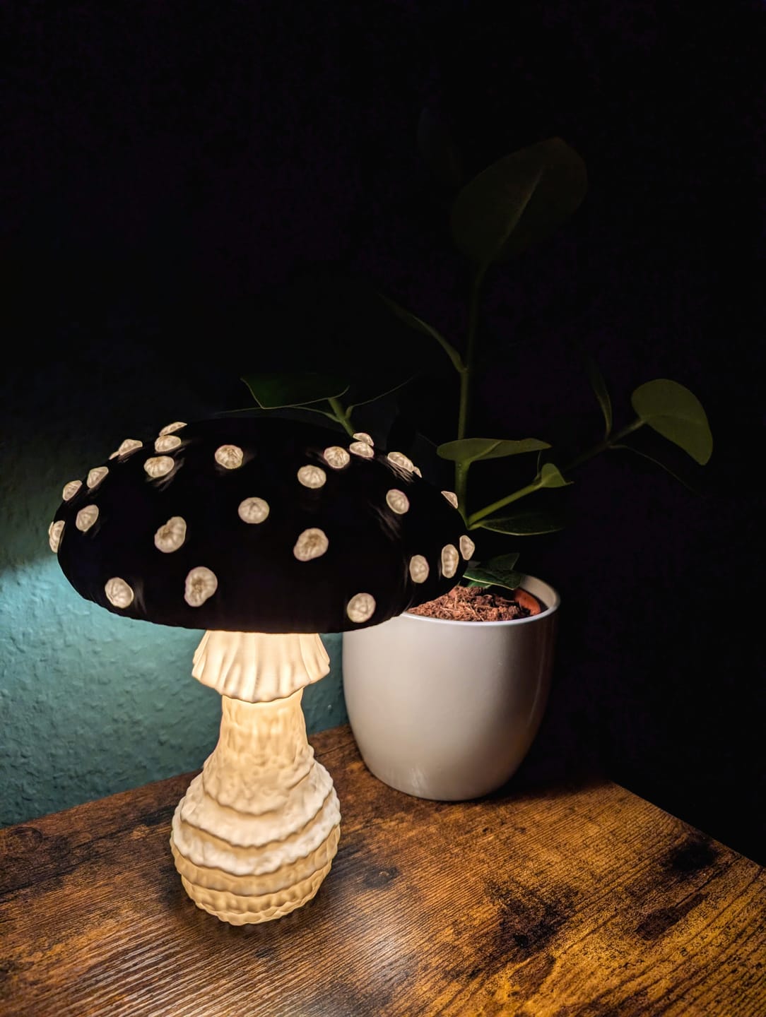 Customer photo review of Amanita Pilz Lampenschirm-Kit