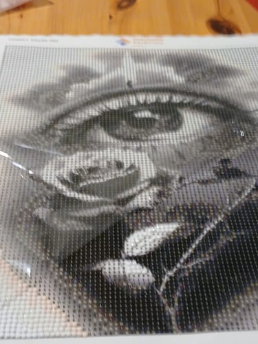 Kundenbewertung mit Foto zu Auge - Rose