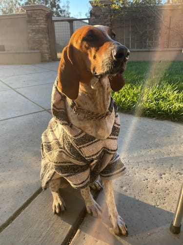 Customer photo review of Playa Poncho - Surprise Color